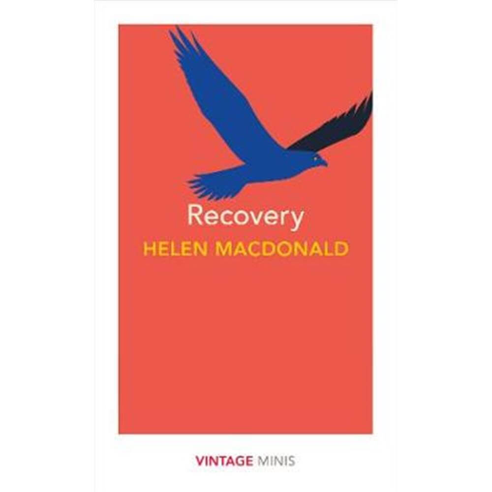 Recovery (Paperback) - Helen Macdonald